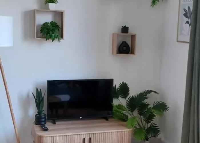 Cosy 2 Pieces Hyper Centre Place De La Breche Apartment Niort