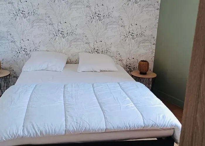 Cosy 2 Pieces Hyper Centre Place De La Breche Apartment Niort